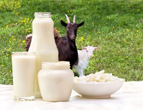 Lapte de capra