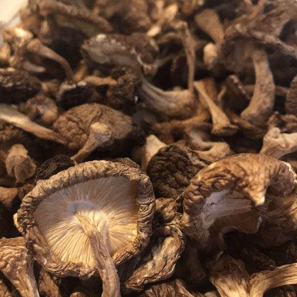 Shiitake deshidratat